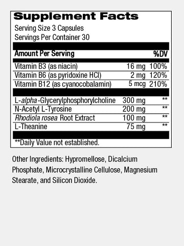 Brain Support and Focus Brain Support and Focus