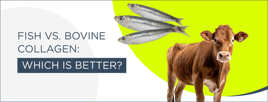 Fish vs. Bovine Collagen: Which Is Better?